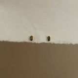 The Delphine Studs