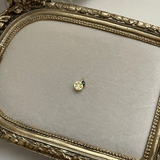 Tiny Lemon Charm