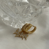 Parvaneh Earrings
