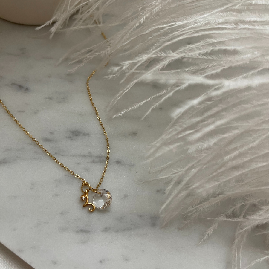 Custom Zodiac & Birthstone Necklace
