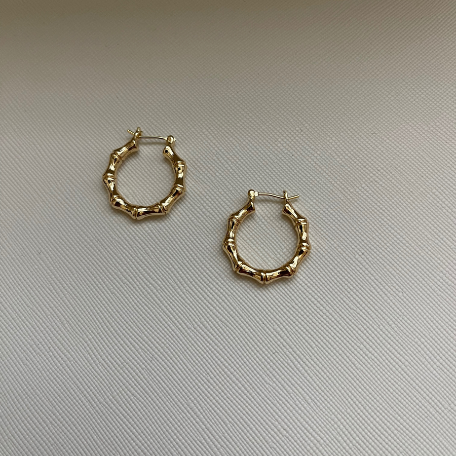 Ximena Hoop Earrings