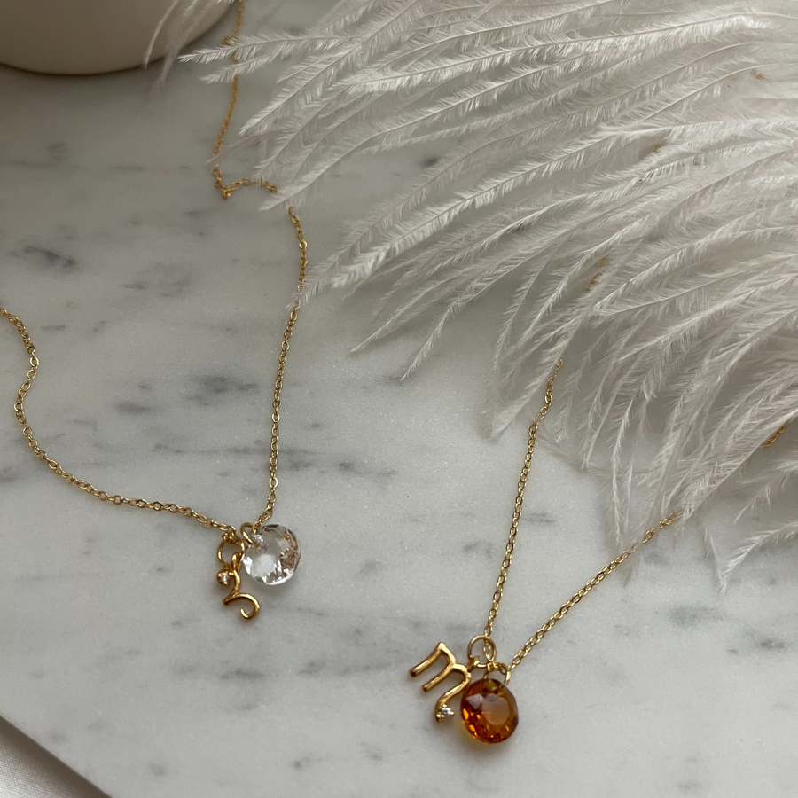 Custom Zodiac & Birthstone Necklace